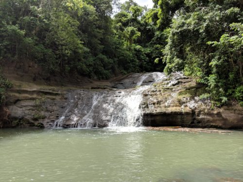 Grenada Hike to Mt Carmel Waterfall