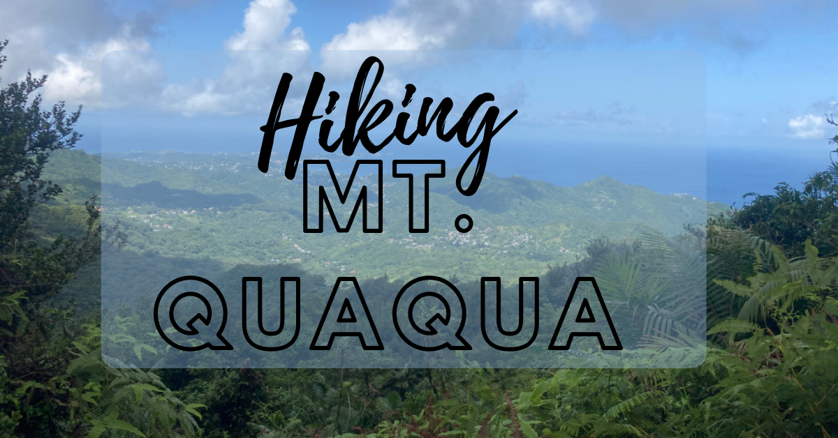 Mt. Qua Qua Hiking in Grenada